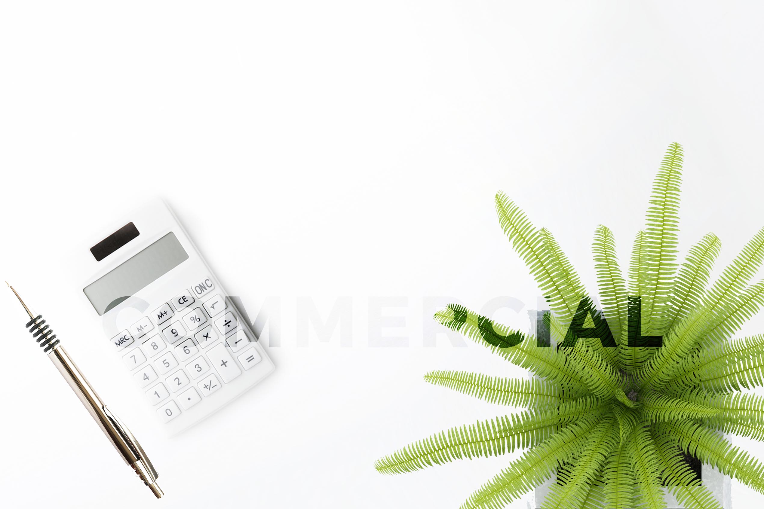 White background with stationary and a plant and the words Commercial